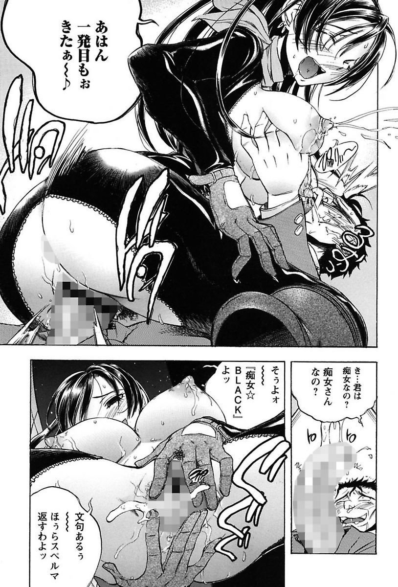 犬井矢戸-ひびきそうえようこそう-