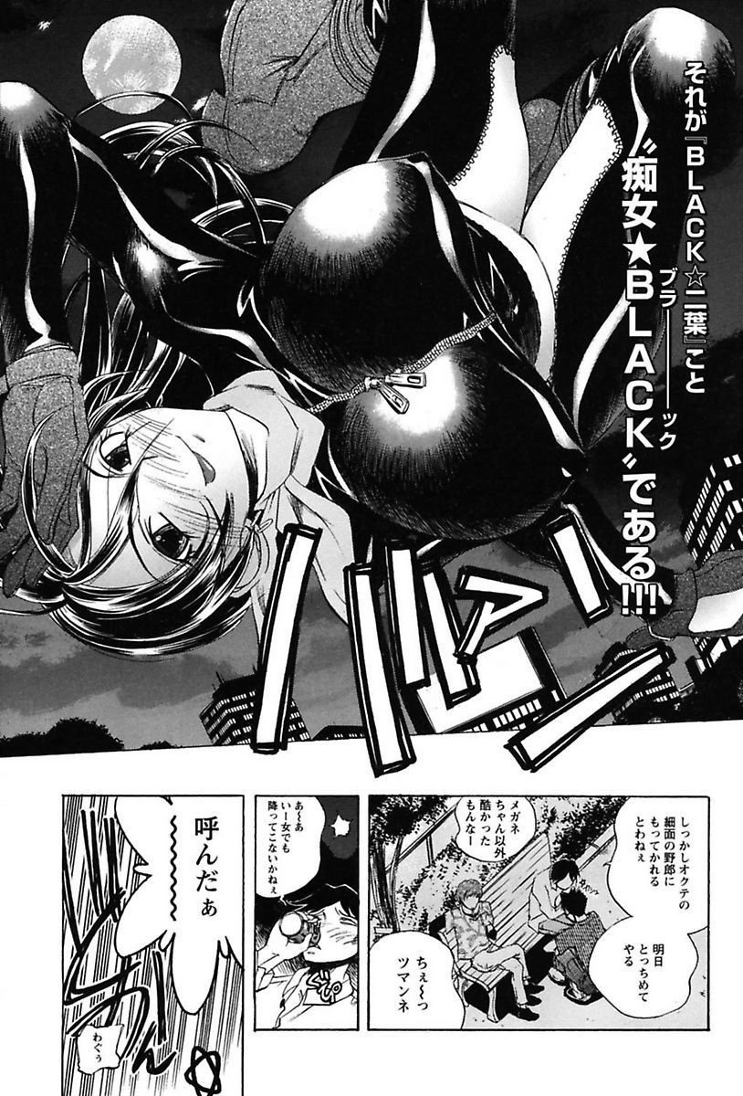 犬井矢戸-ひびきそうえようこそう-