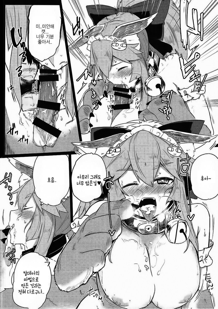 ネタ猫にさわるべからず。