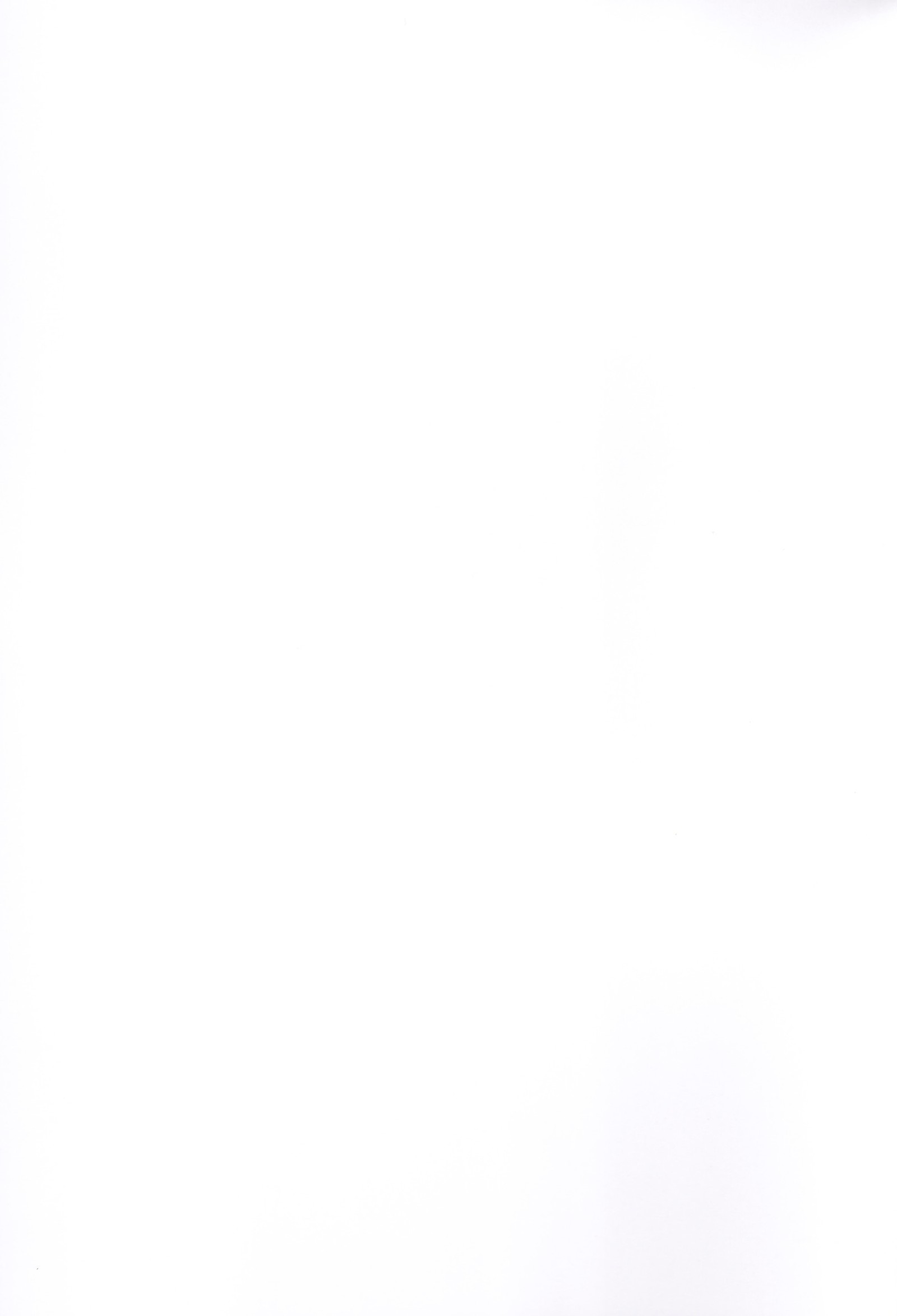 キラミナエスカレイション