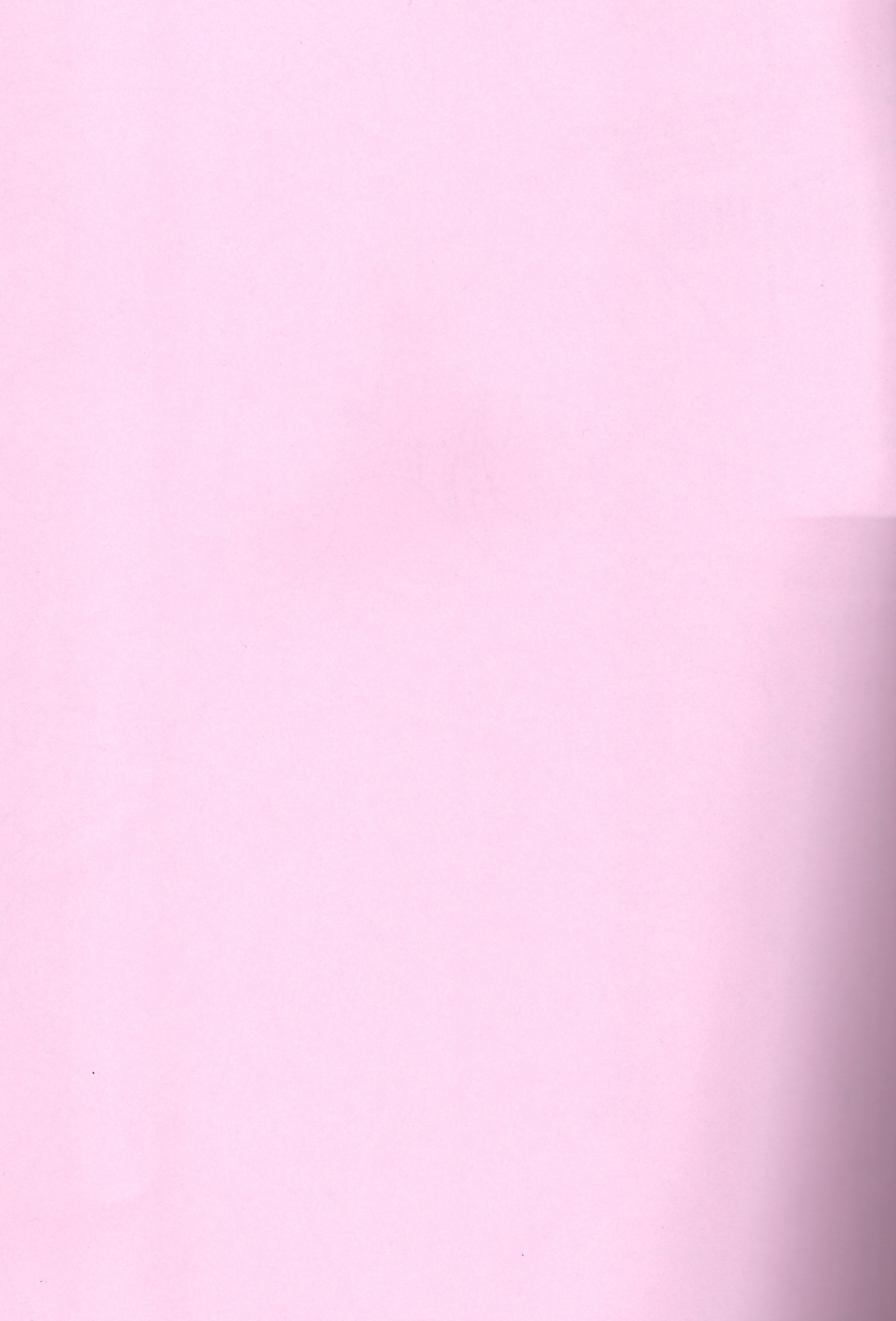 キラミナエスカレイション