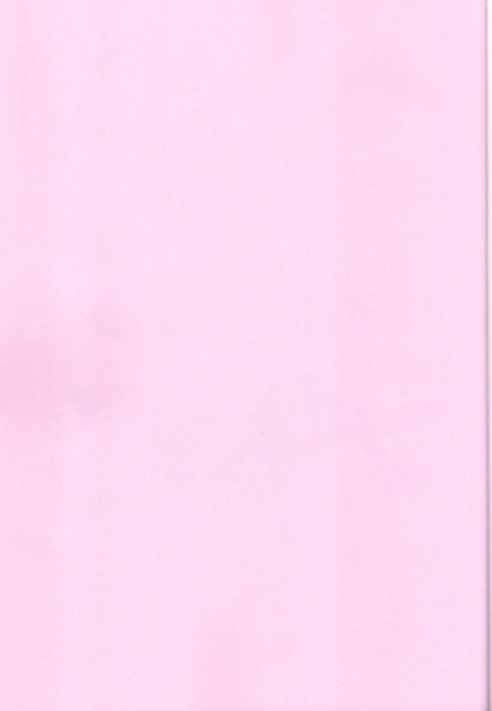 キラミナエスカレイション