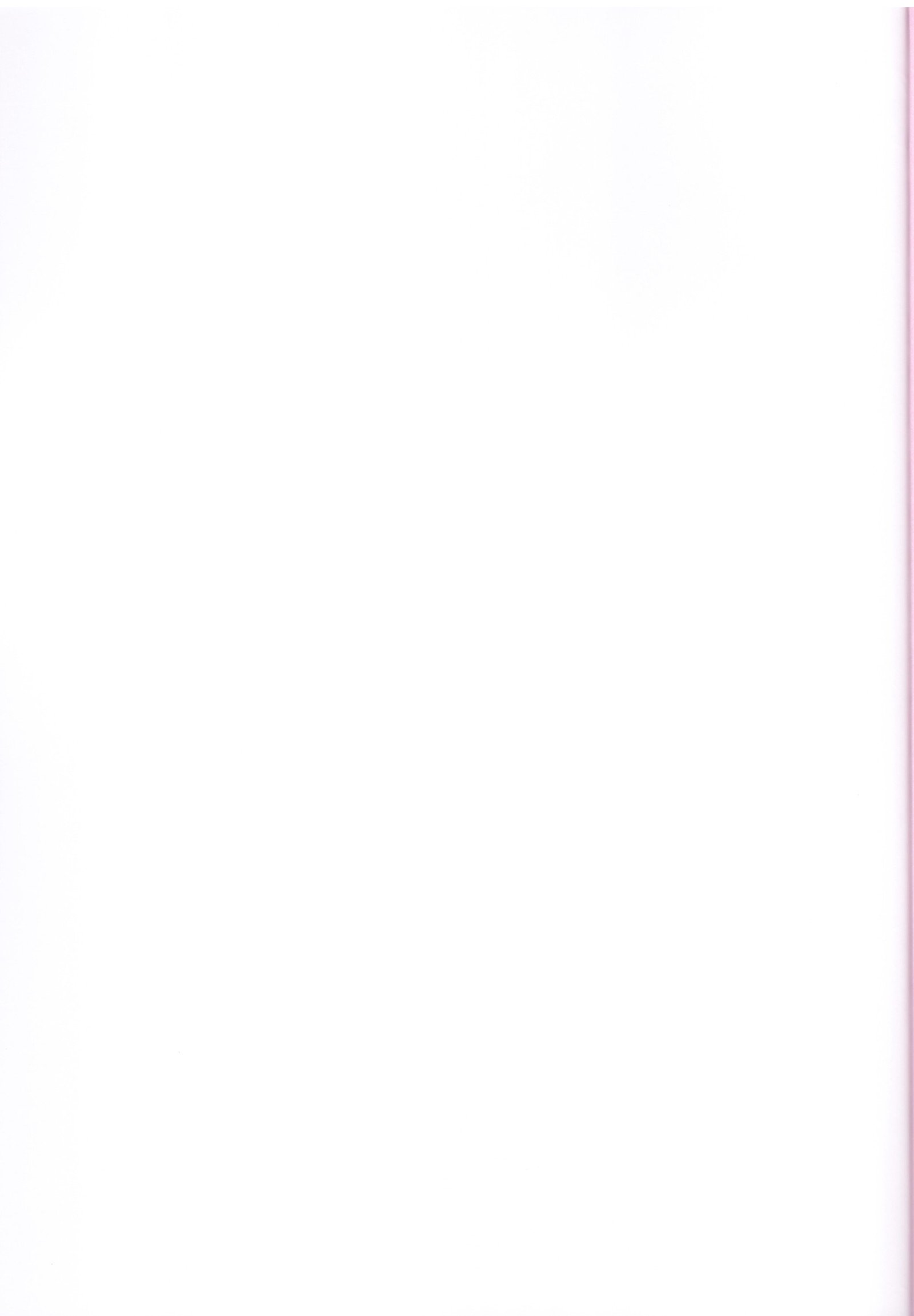 キラミナエスカレイション