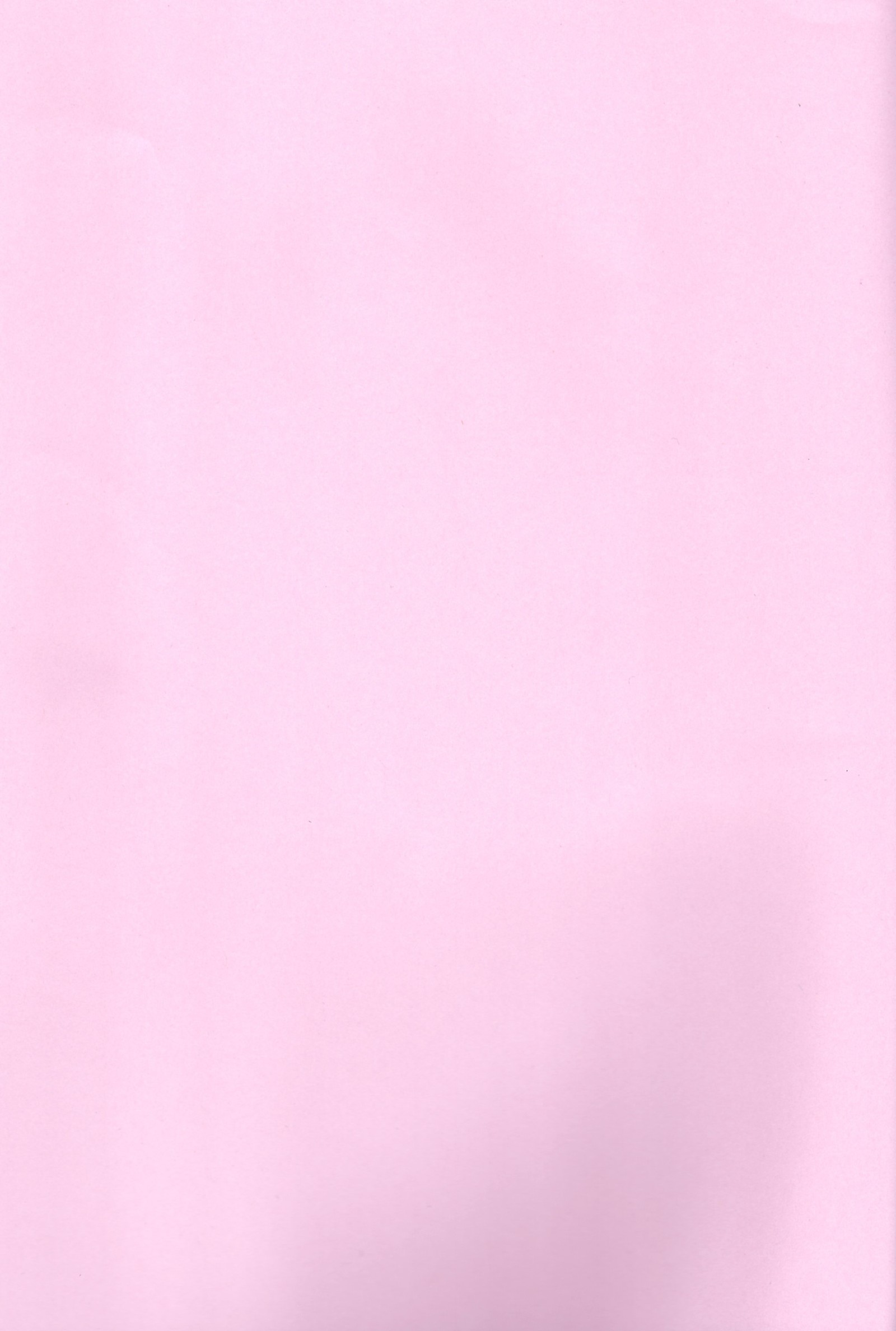 キラミナエスカレイション