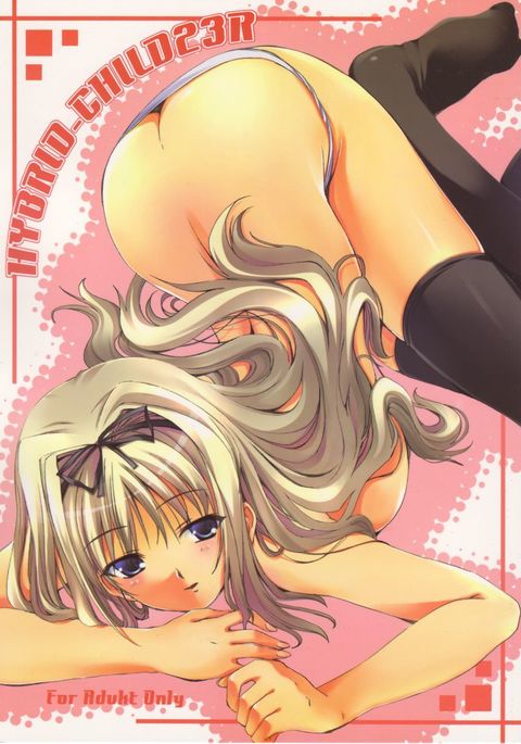 ハイブリッドチャイルド23R