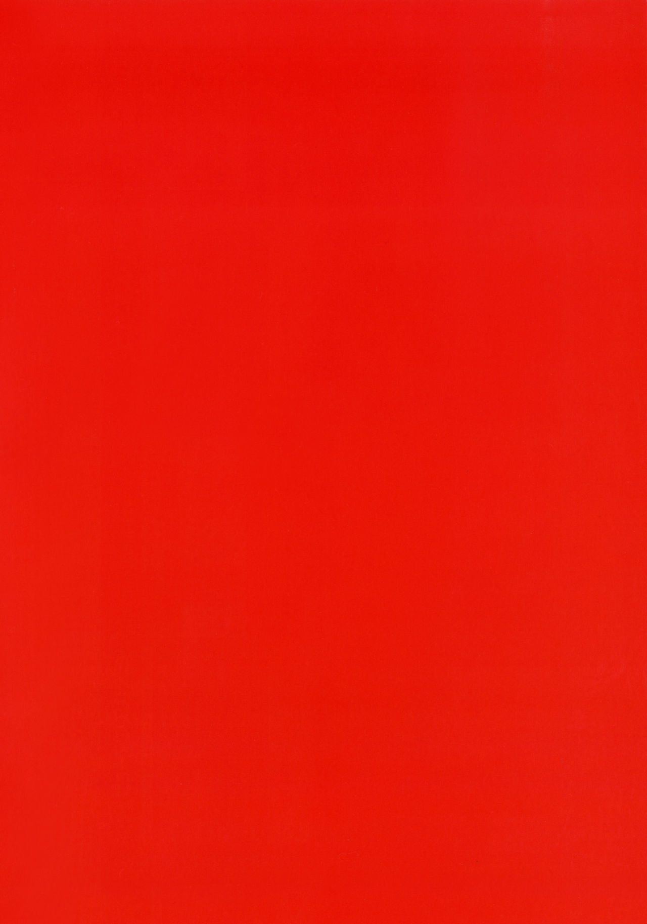 夜の花王-真夜中の向こう側