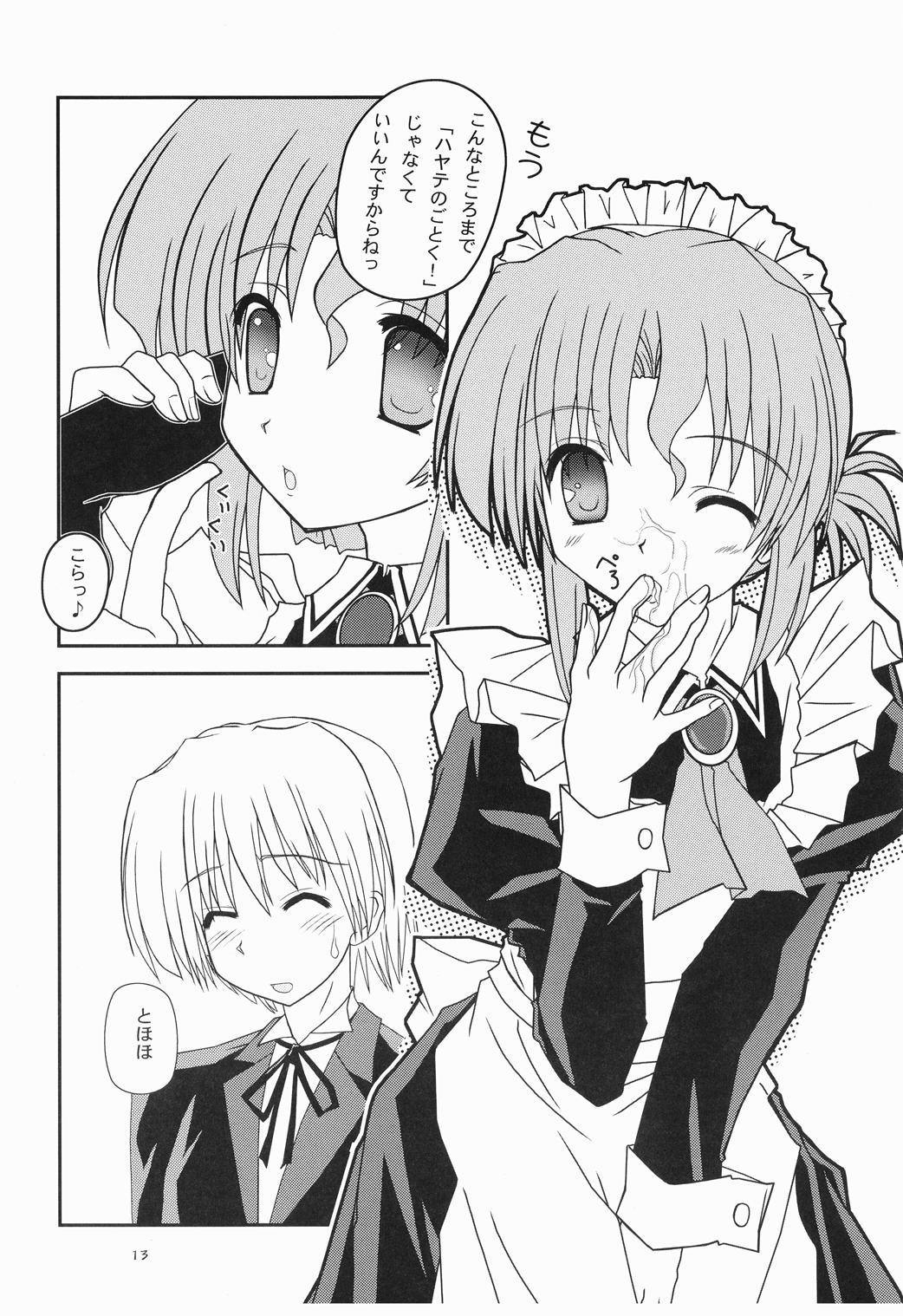 家政婦さんがみせ3