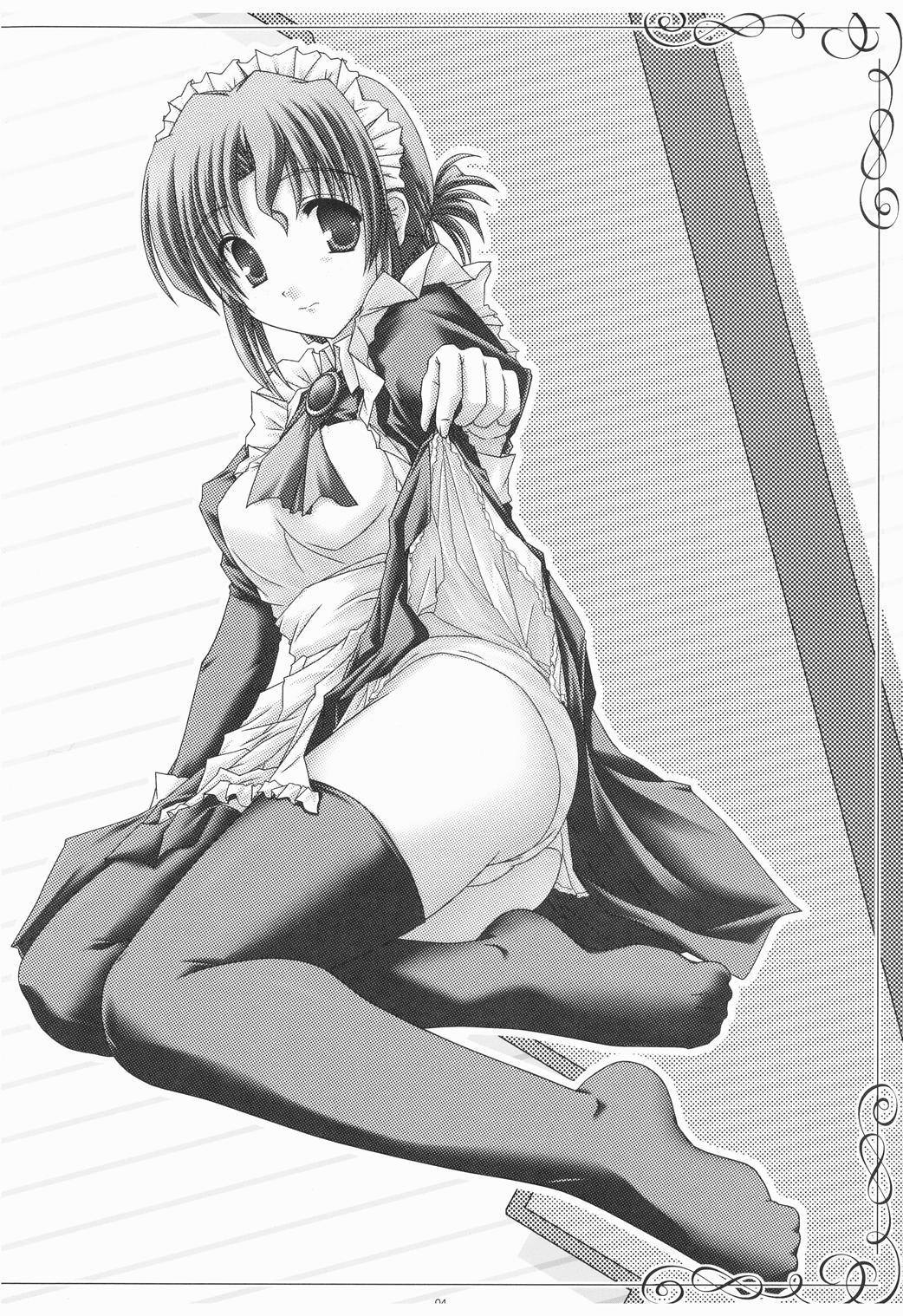 家政婦さんがみせ3