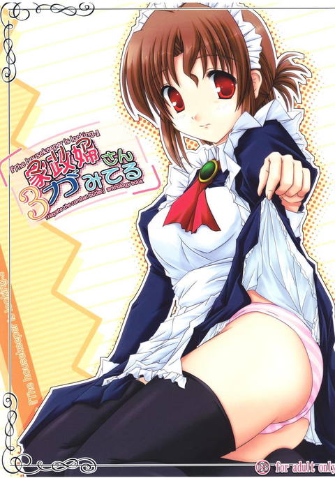 家政婦さんがみせ3