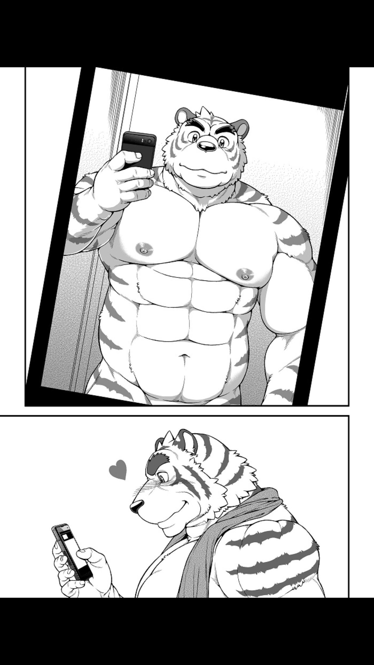 9動物の大規模な虎