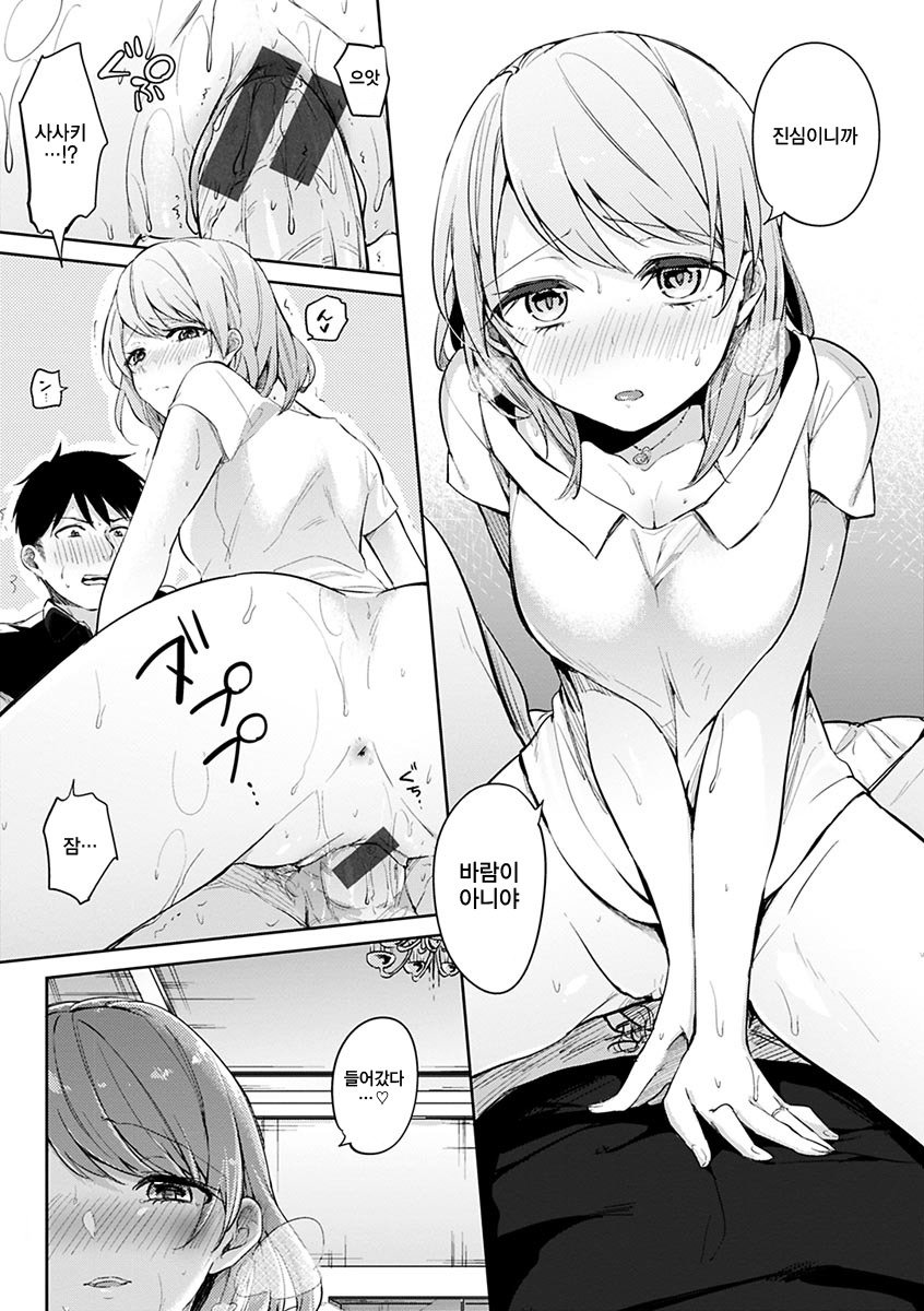 葵さえずり| 푸른지저귐