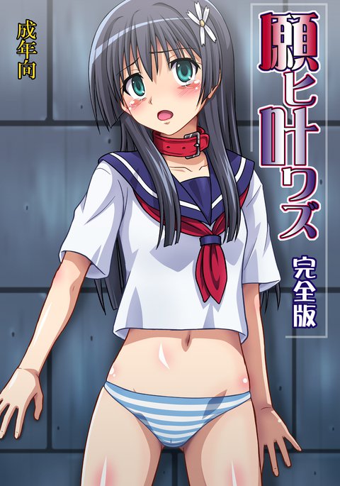 ねがいかなわずかんぜんばん