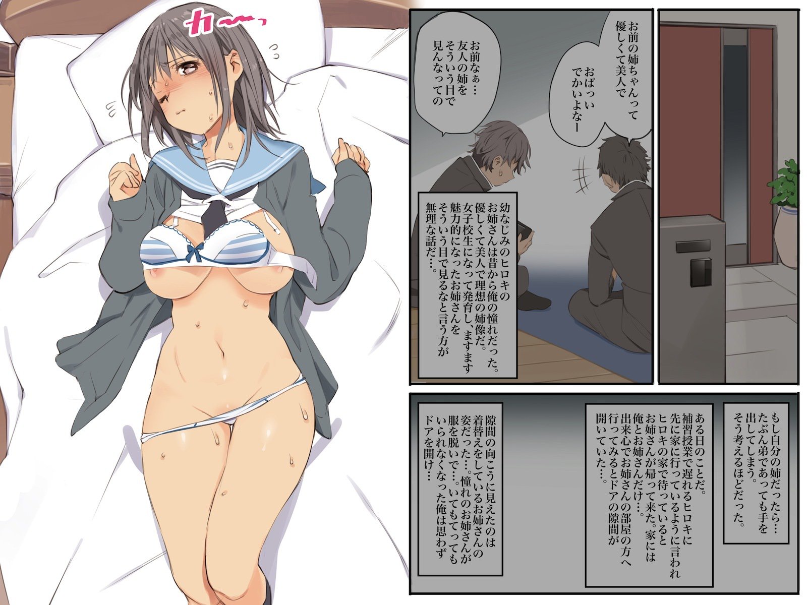 ともだちのねさんをむりやりせふれか