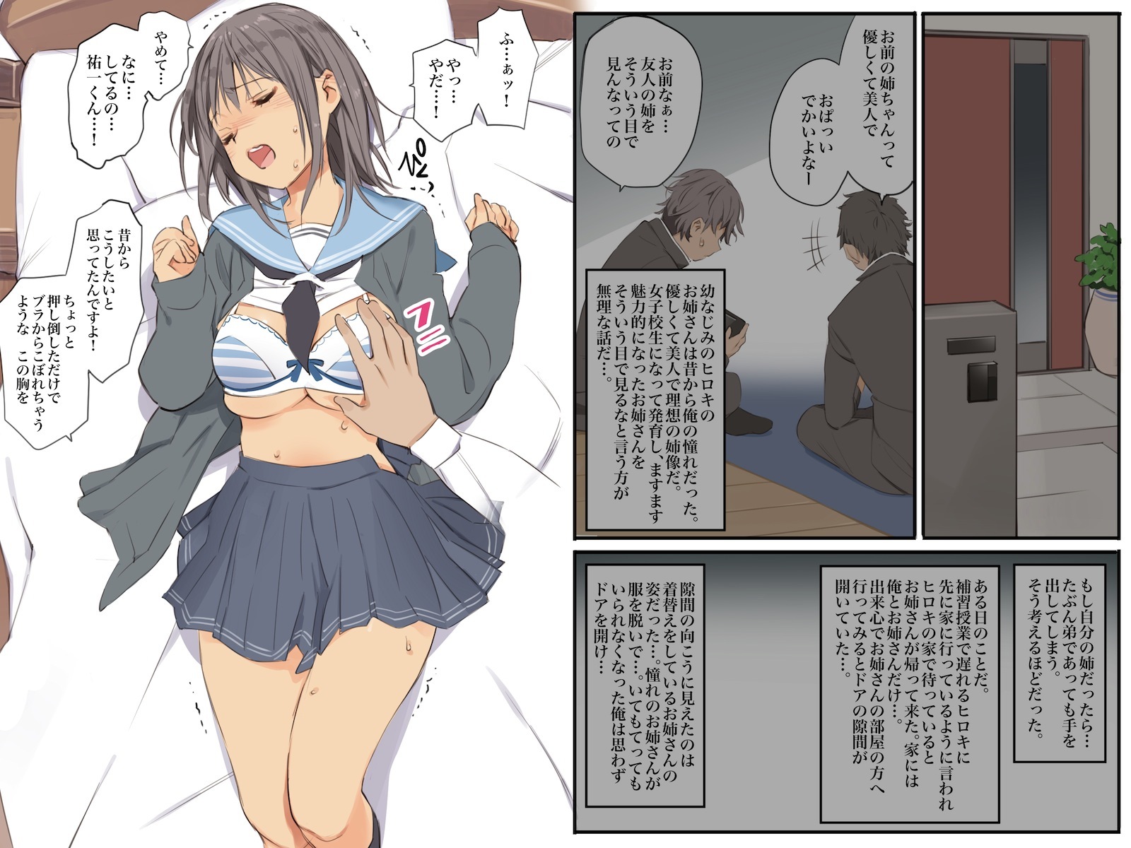 ともだちのねさんをむりやりせふれか