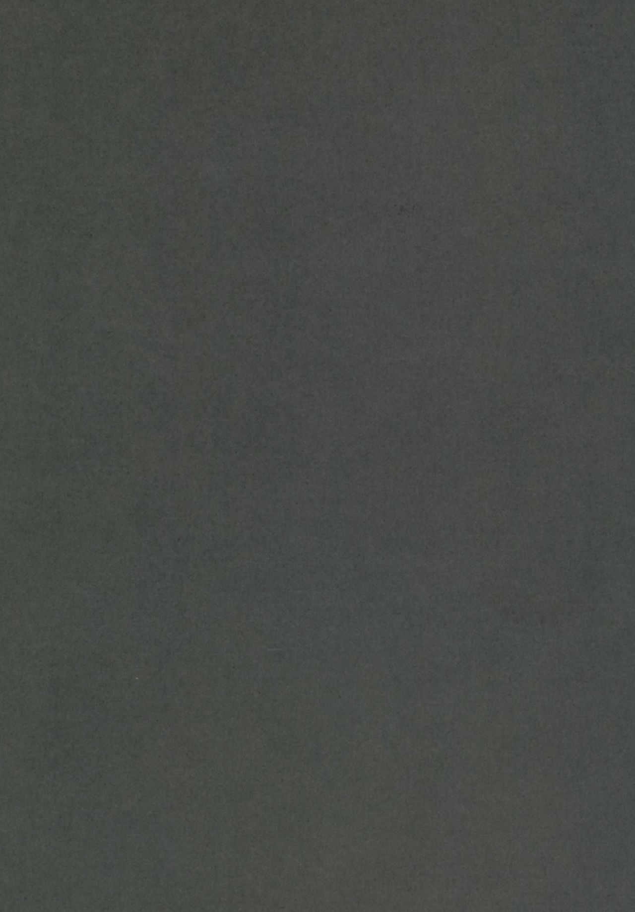 ふたなりりしゃと赤ちゃん作りりしゃ