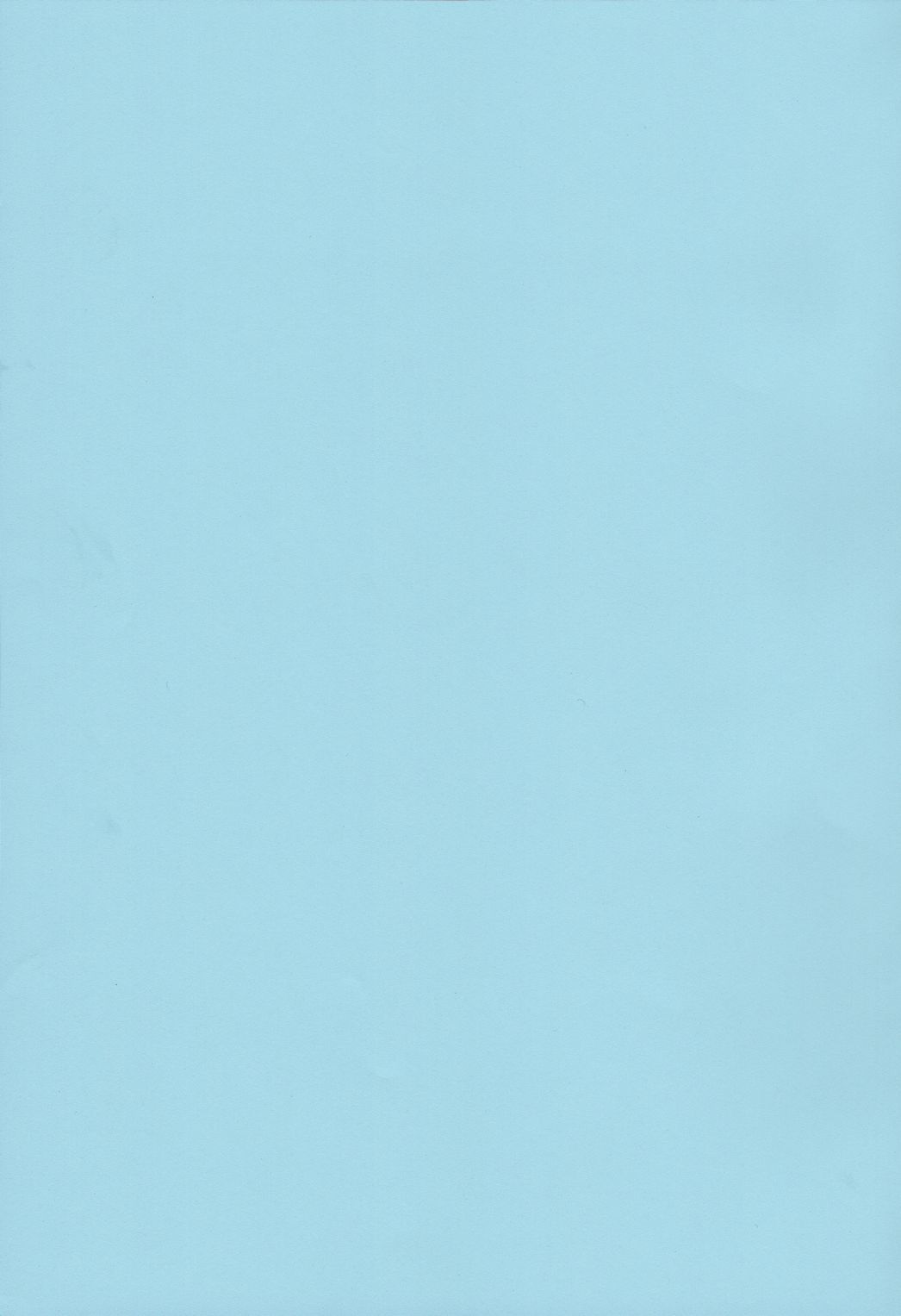 サザンアイランドのビッグトライアル