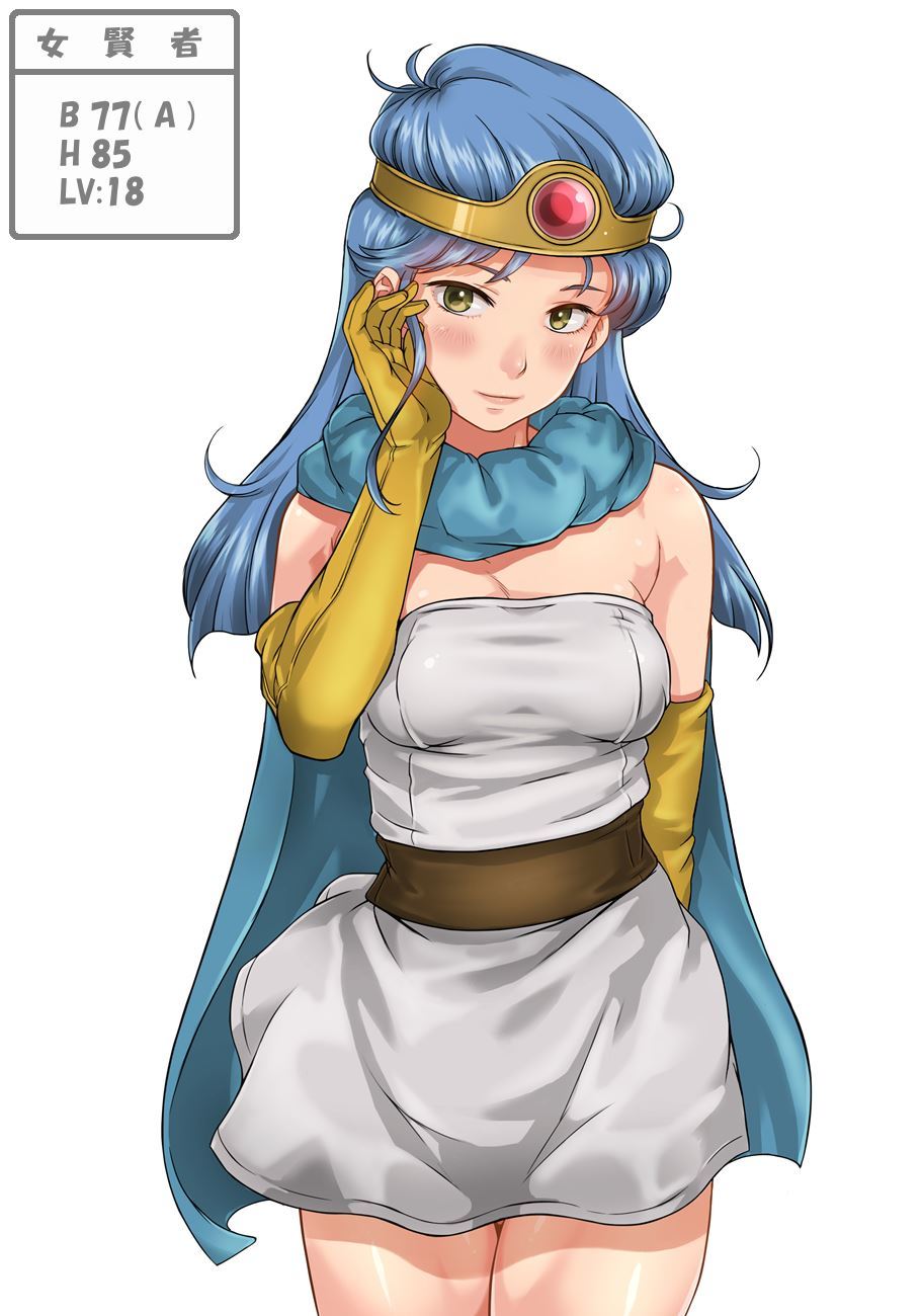 バストを見せてください！ DQ