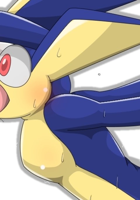 ゲッコパンパン