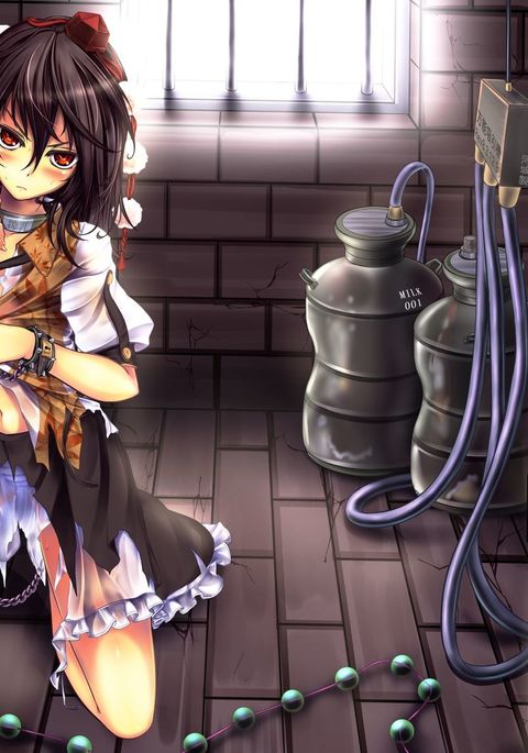 しゃめいまる綾共生ゼッチョウ宗内