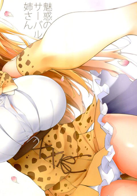 みわくのサーバルニーさん2