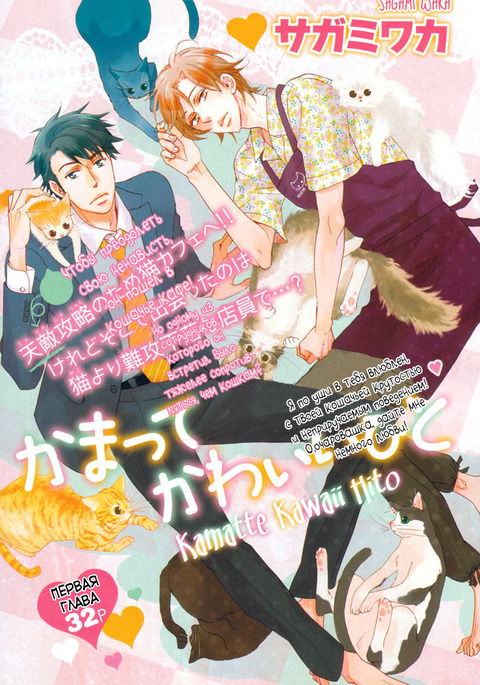 カマテカワイイ人