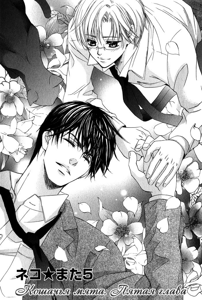 ティアドロップ