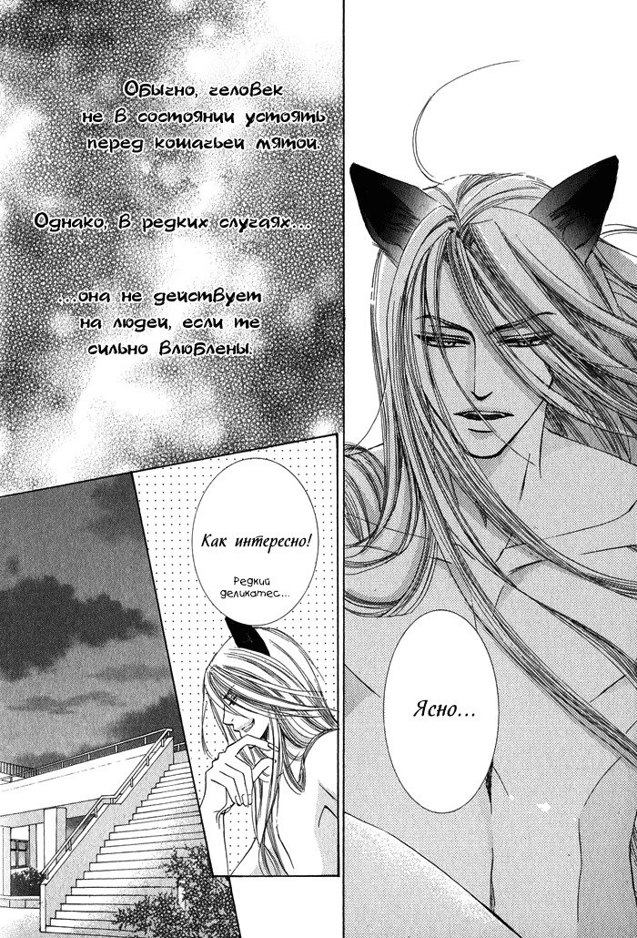 ティアドロップ