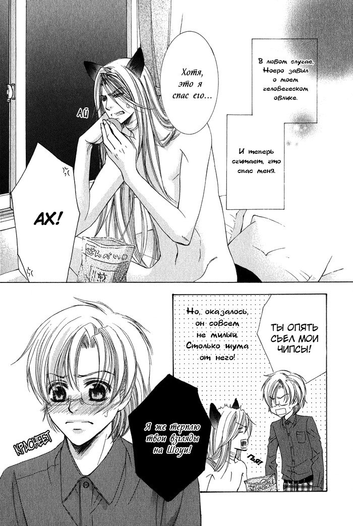 ティアドロップ