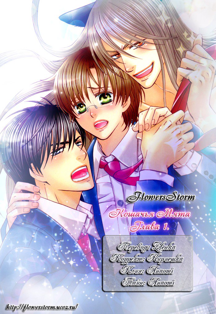 ティアドロップ