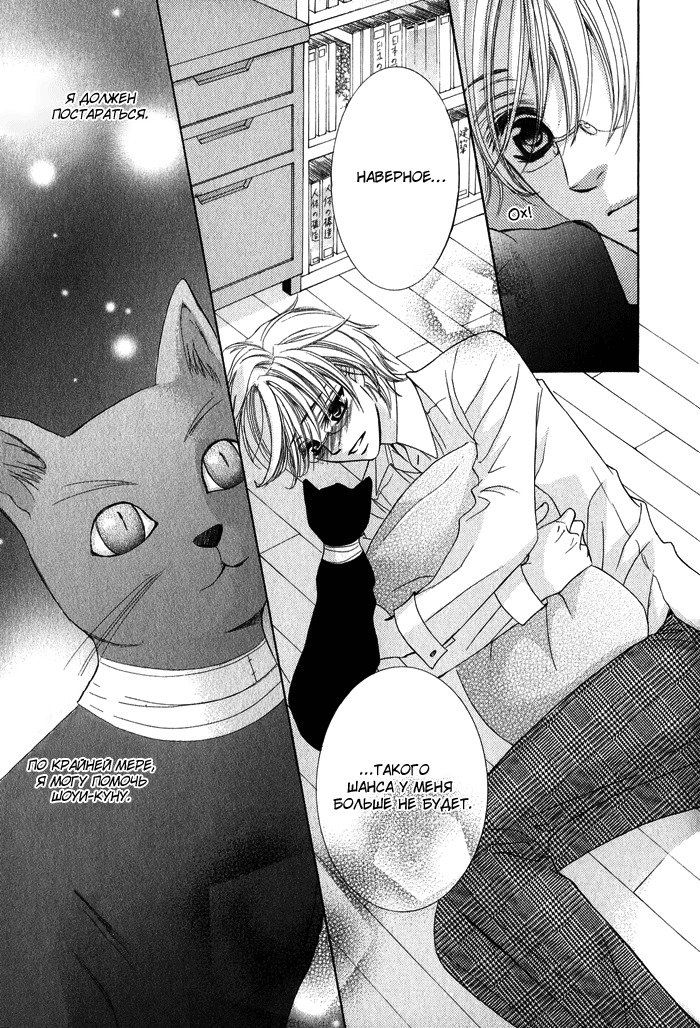 ティアドロップ