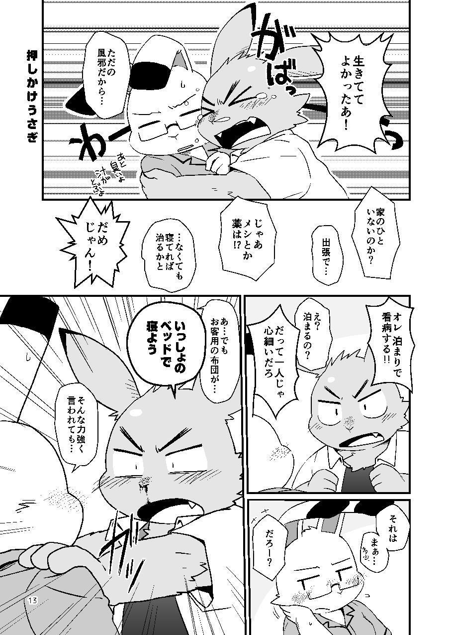 カゼヒキうさぎから押掛うさぎ