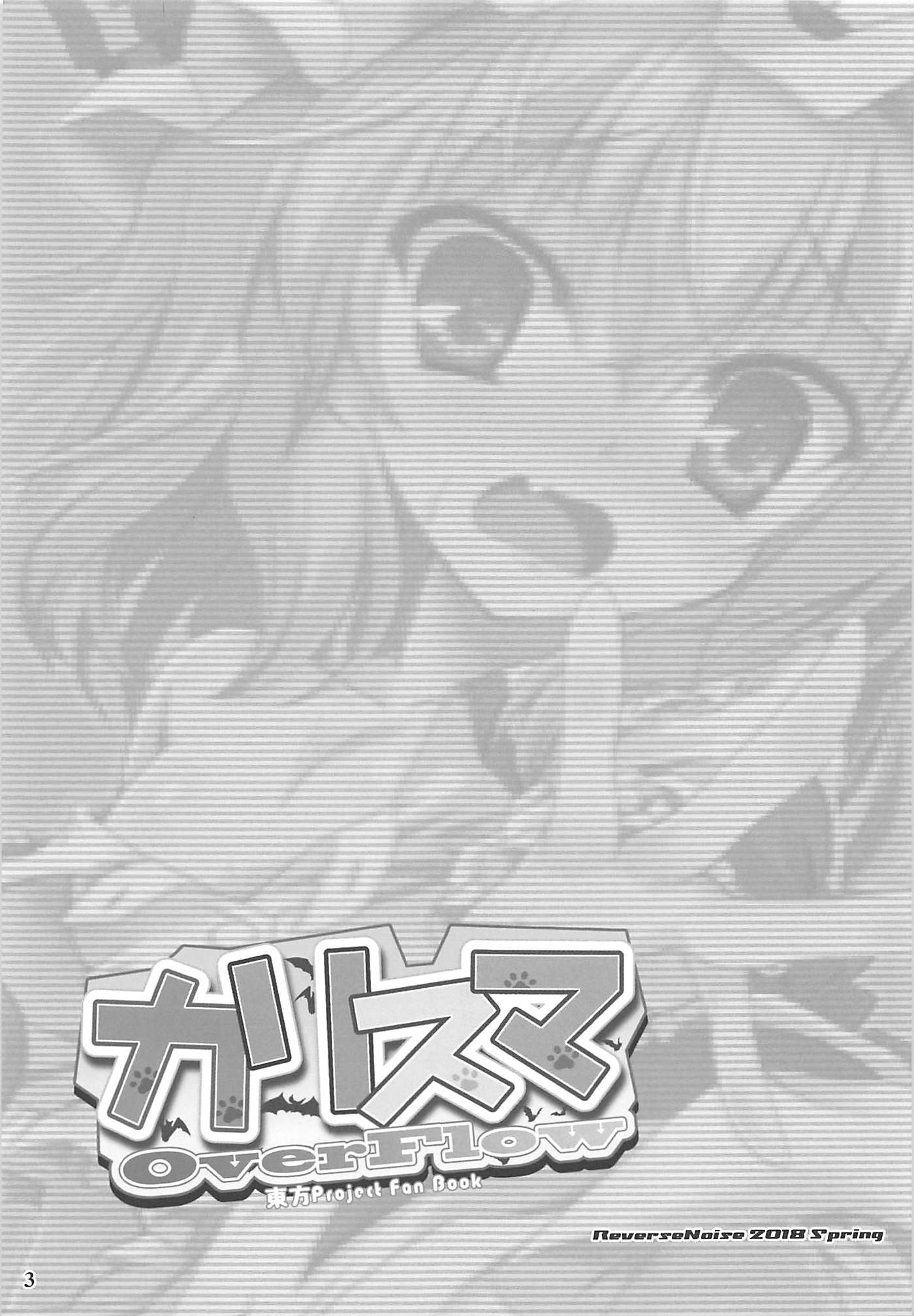 カリスマオーバーフロー