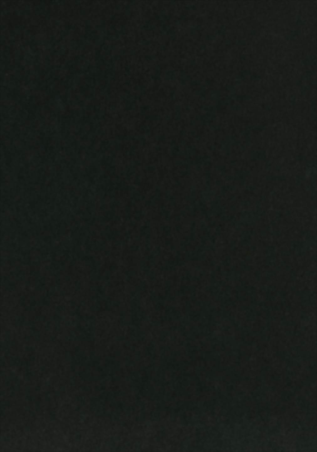 メイドジャンヌアルターさん