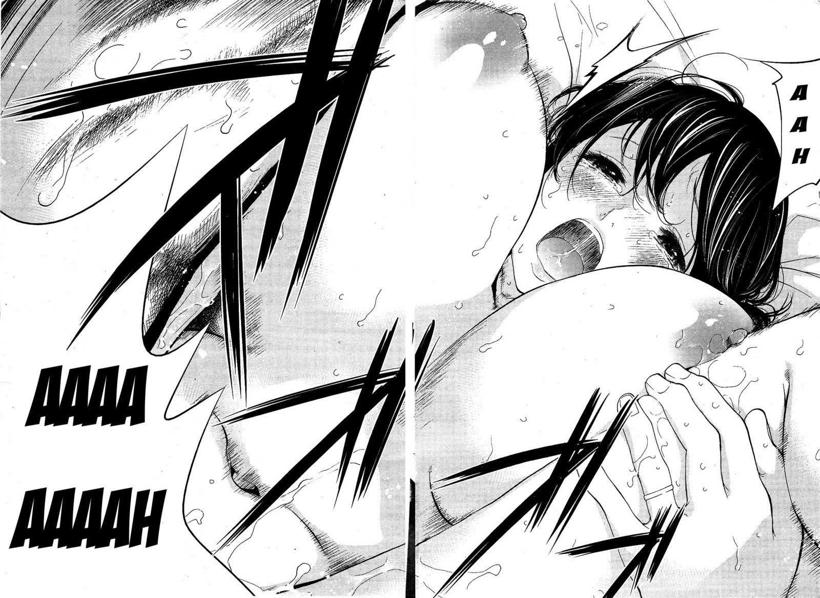 ネトラセラレCh。 10-18