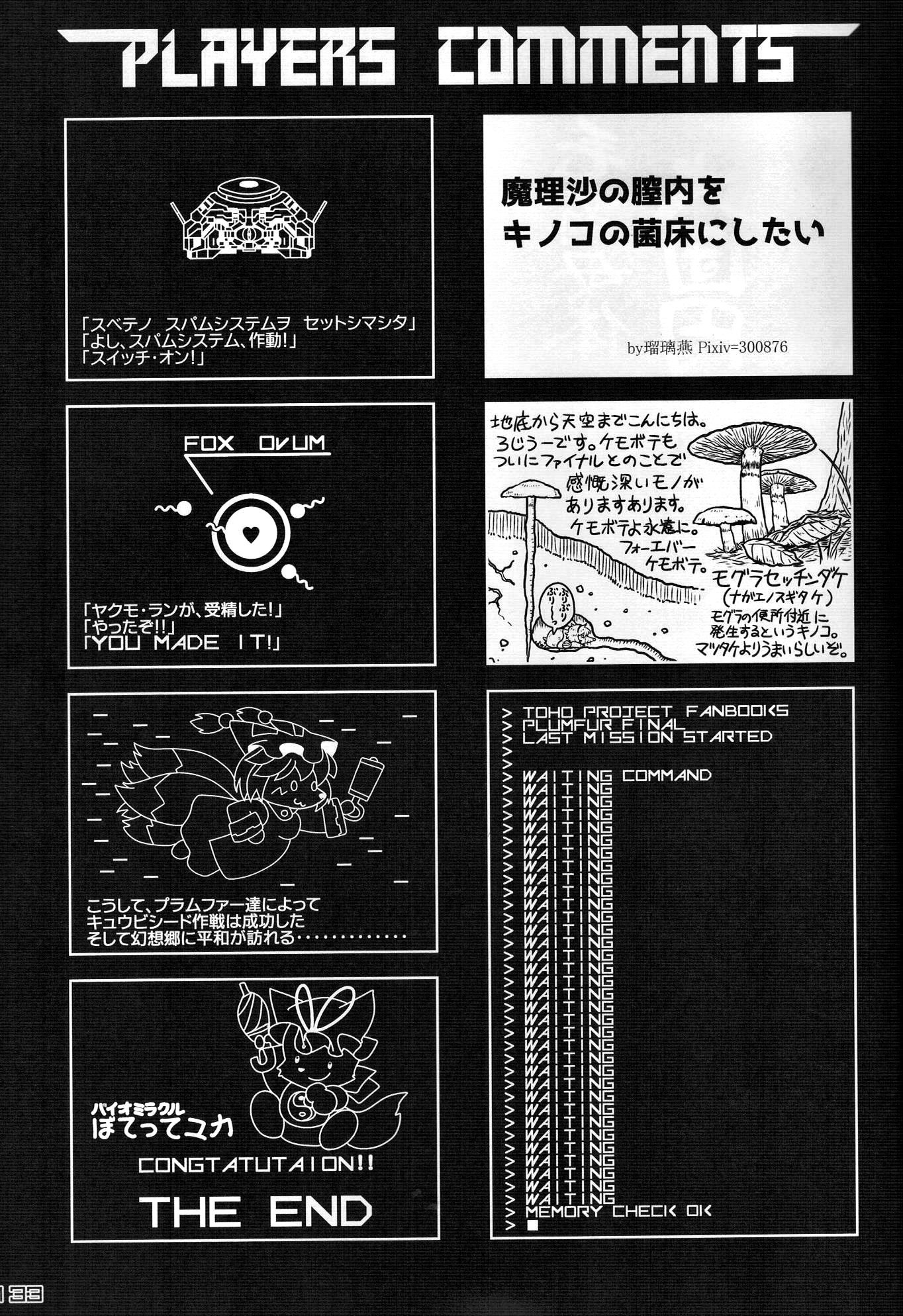 東方PLUMFURFINAL（東方Project