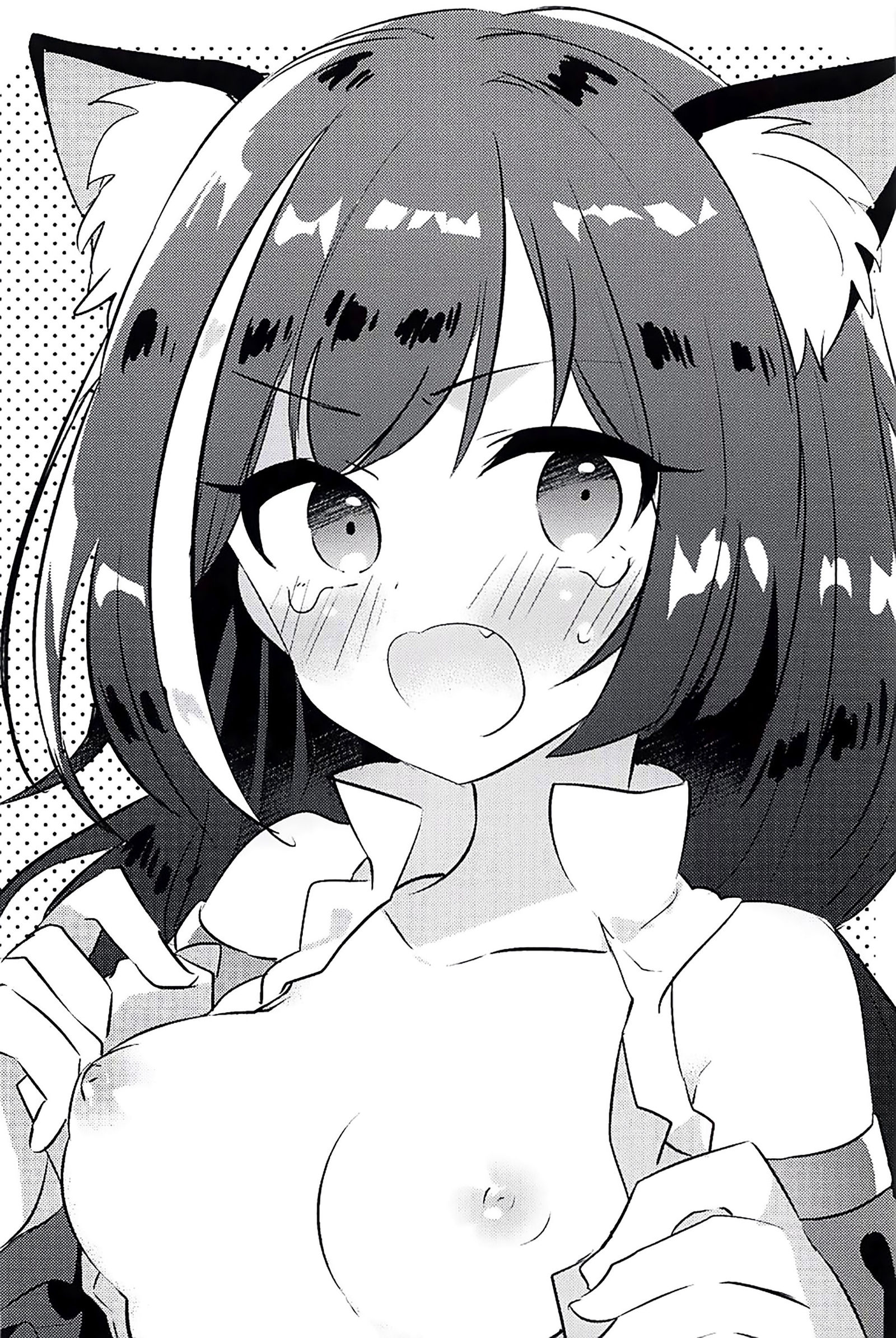 PriConne Konekone Re：Dive！