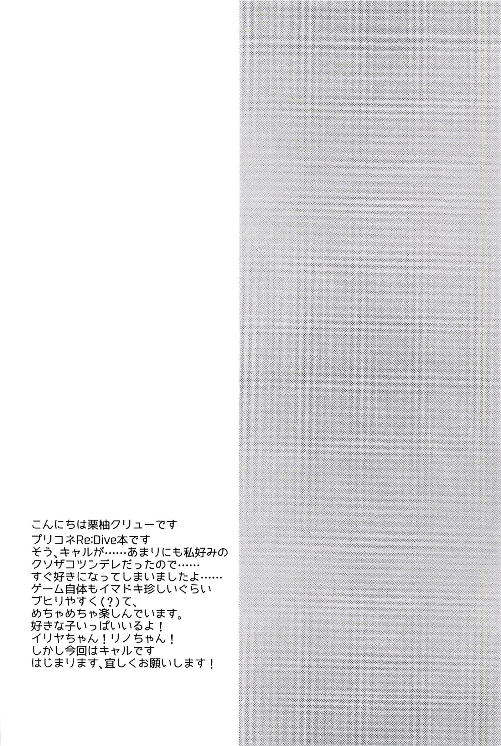 PriConne Konekone Re：Dive！