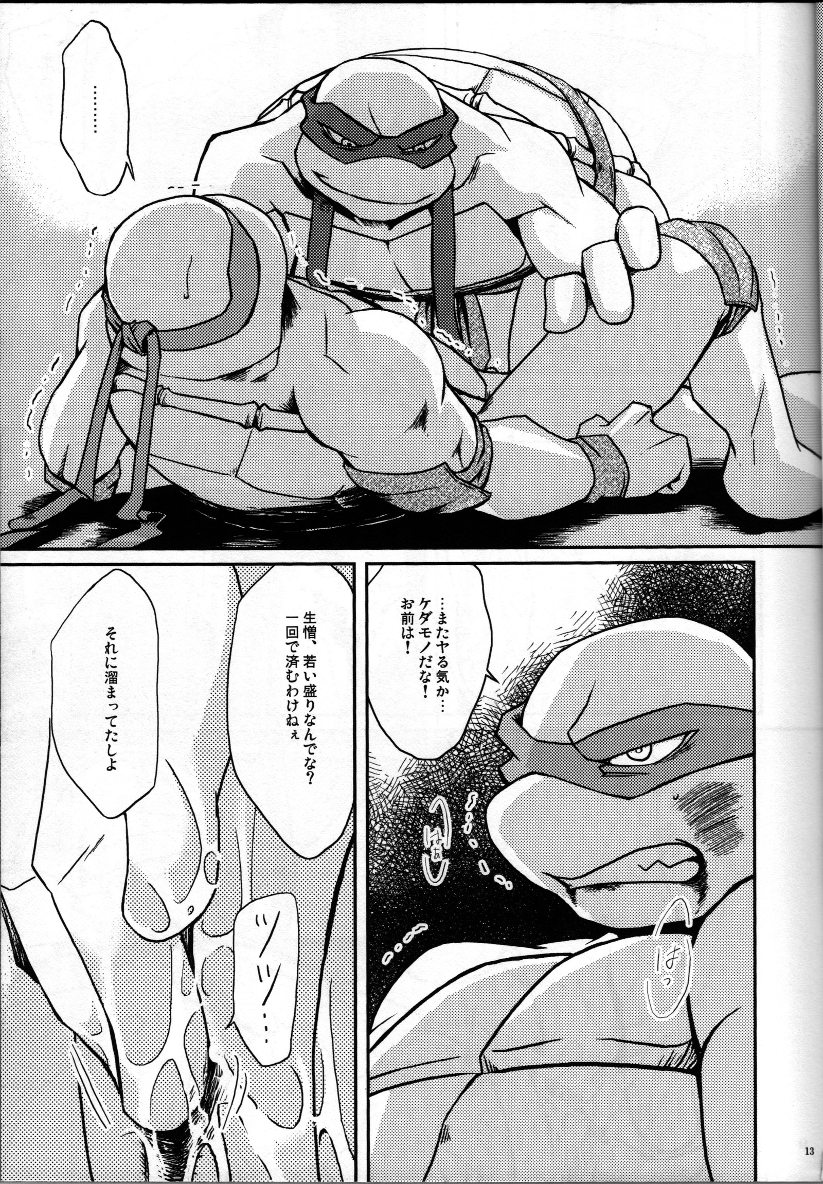 ファレン-ラフvsレオ-10代ミュータントニンジャタートルズ、TMNT同人誌