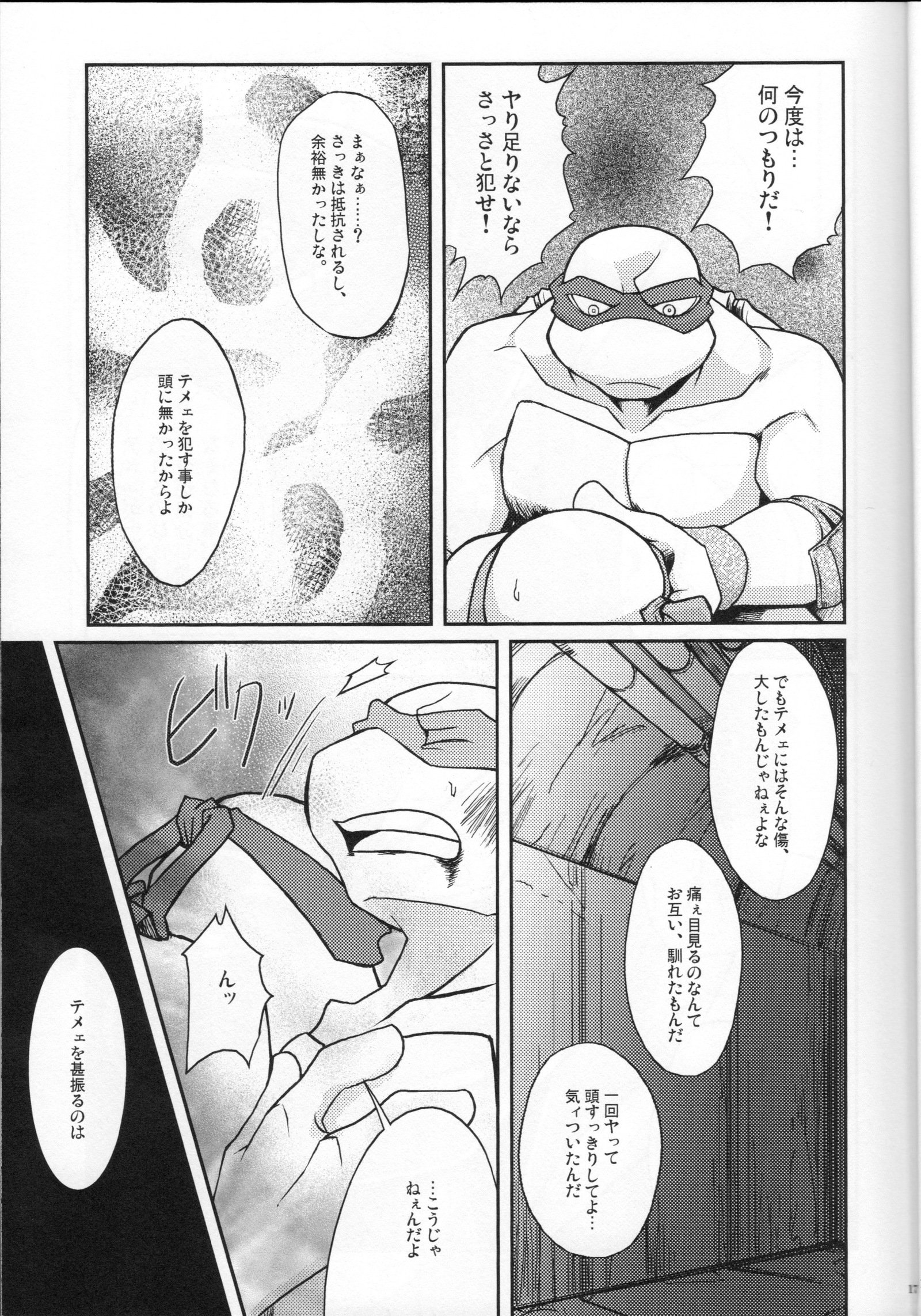 ファレン-ラフvsレオ-10代ミュータントニンジャタートルズ、TMNT同人誌