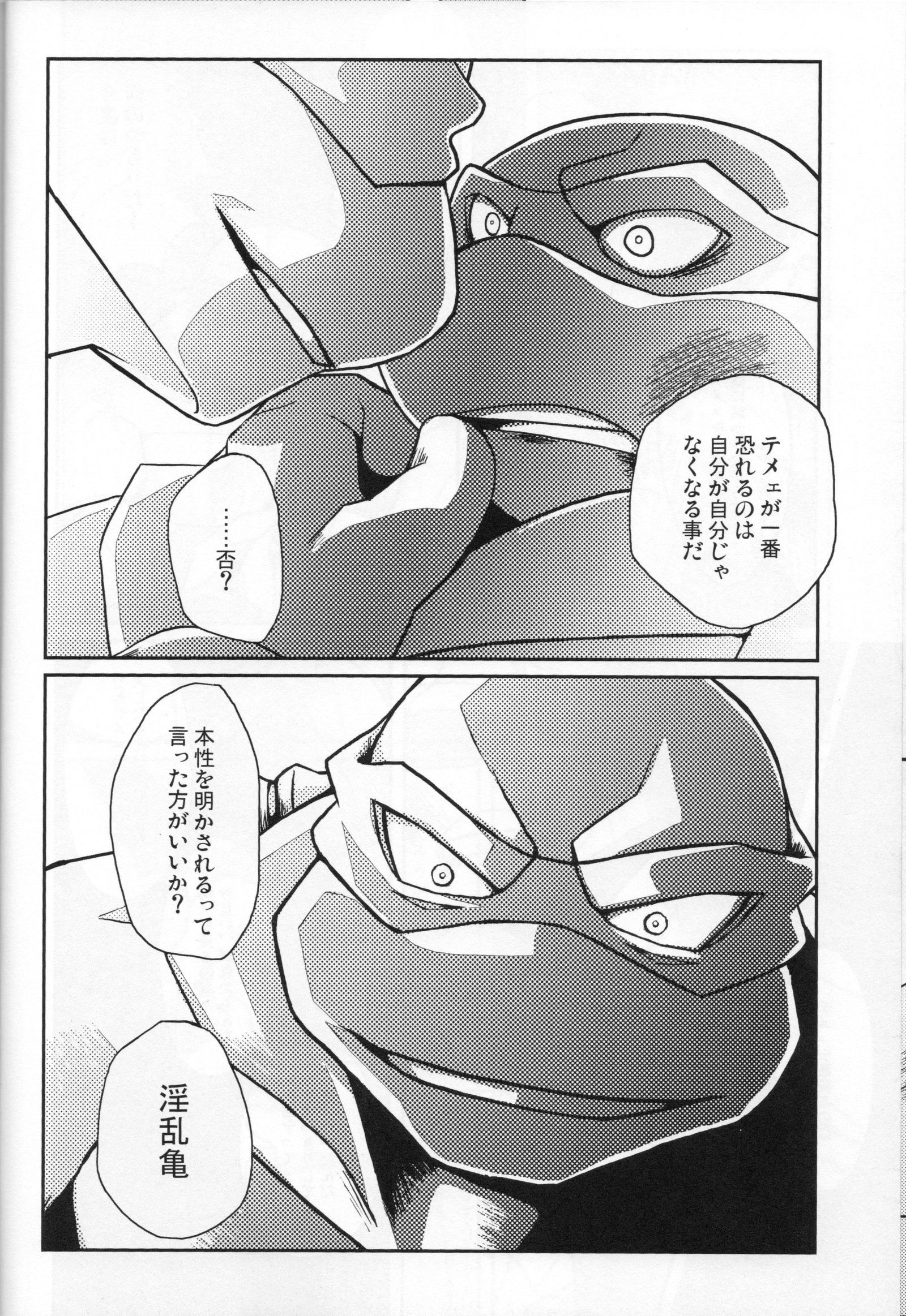 ファレン-ラフvsレオ-10代ミュータントニンジャタートルズ、TMNT同人誌