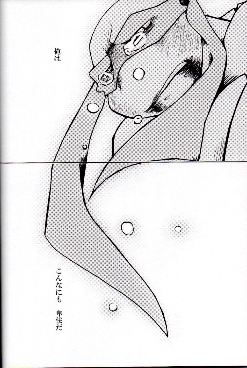 ファレン-ラフvsレオ-10代ミュータントニンジャタートルズ、TMNT同人誌