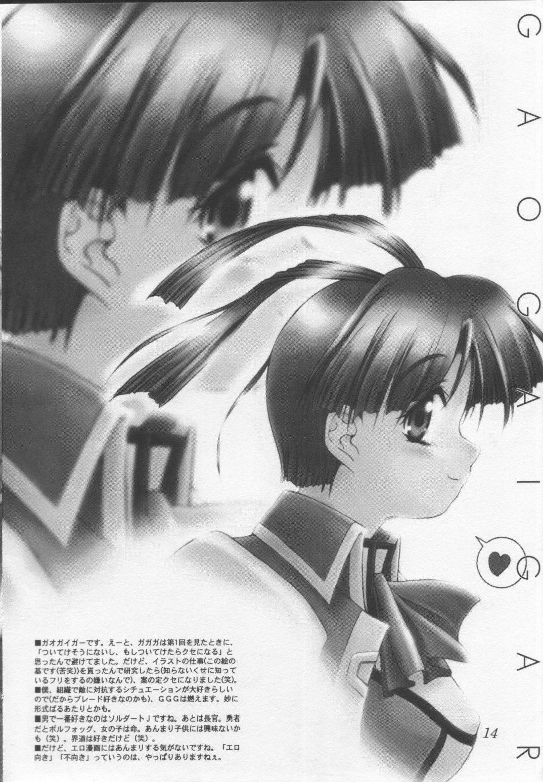 サプリメントと開発