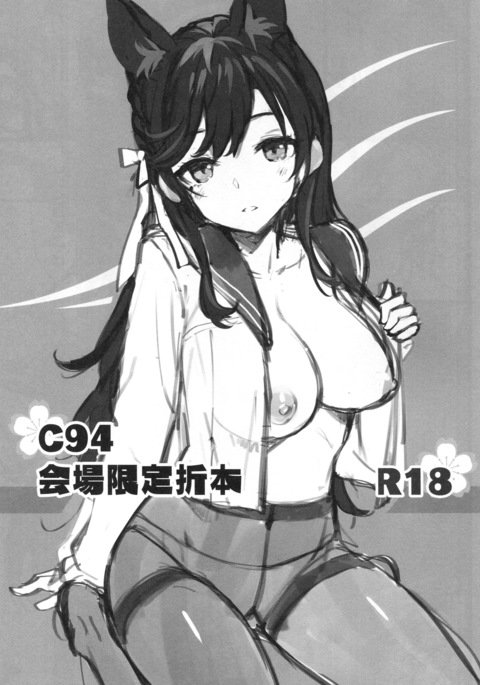 C94折り本折本