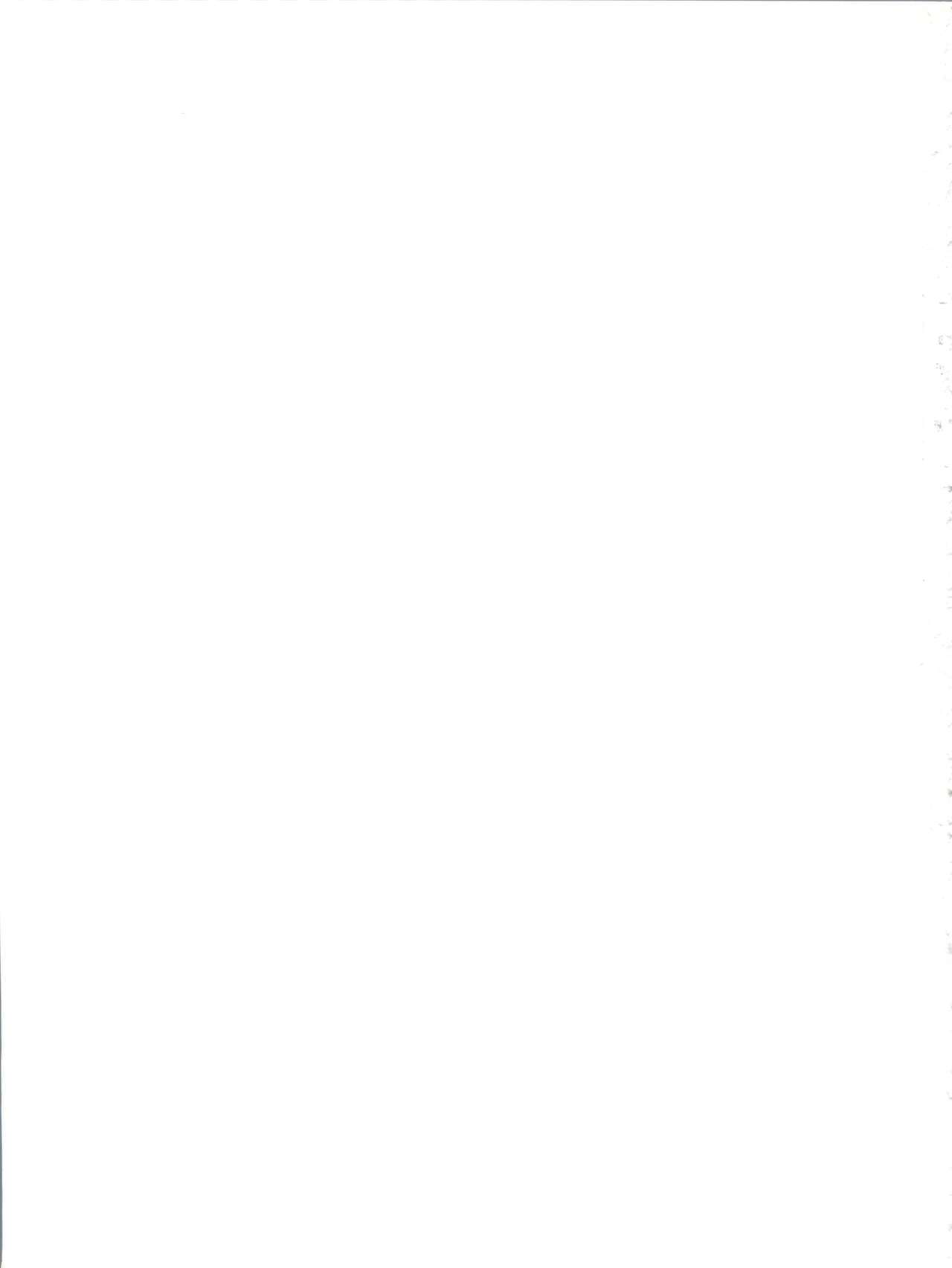 TIMTIMマシンカスタム03