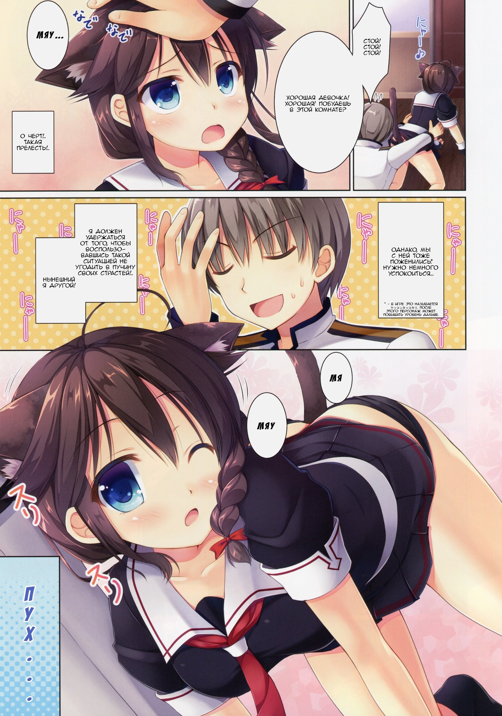 ねこかかいしゅおおこないますか？