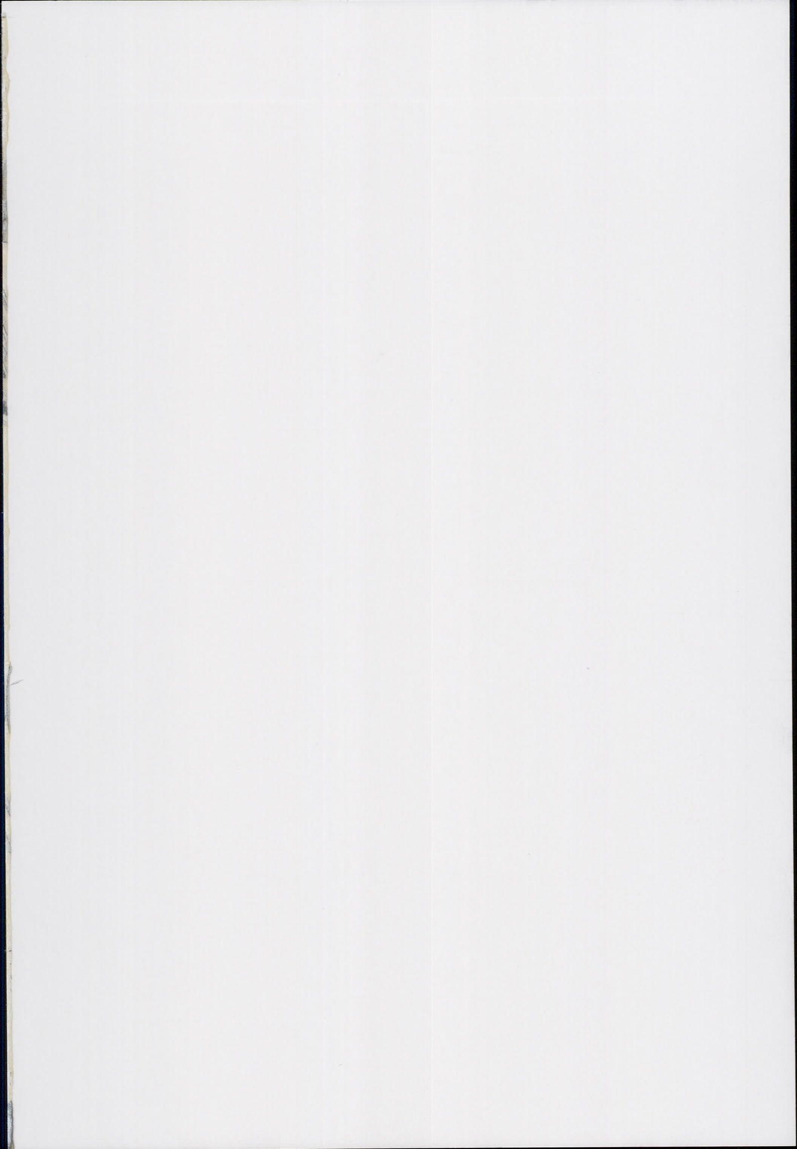 スキマ妖怪から本木こずくり