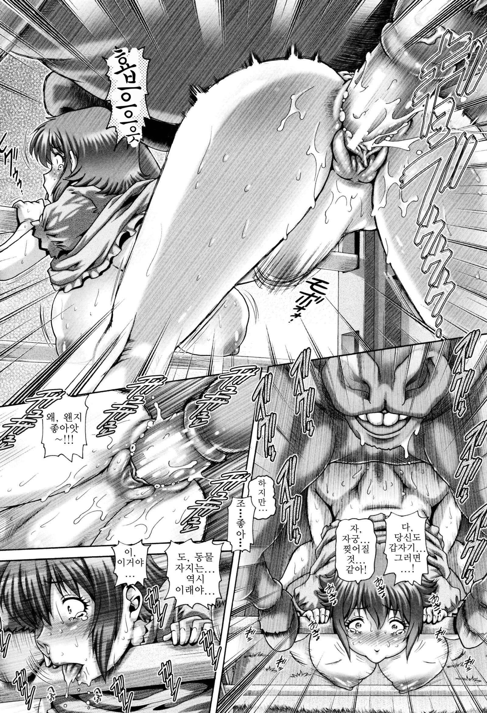 島井ちちく| 바보가축자매