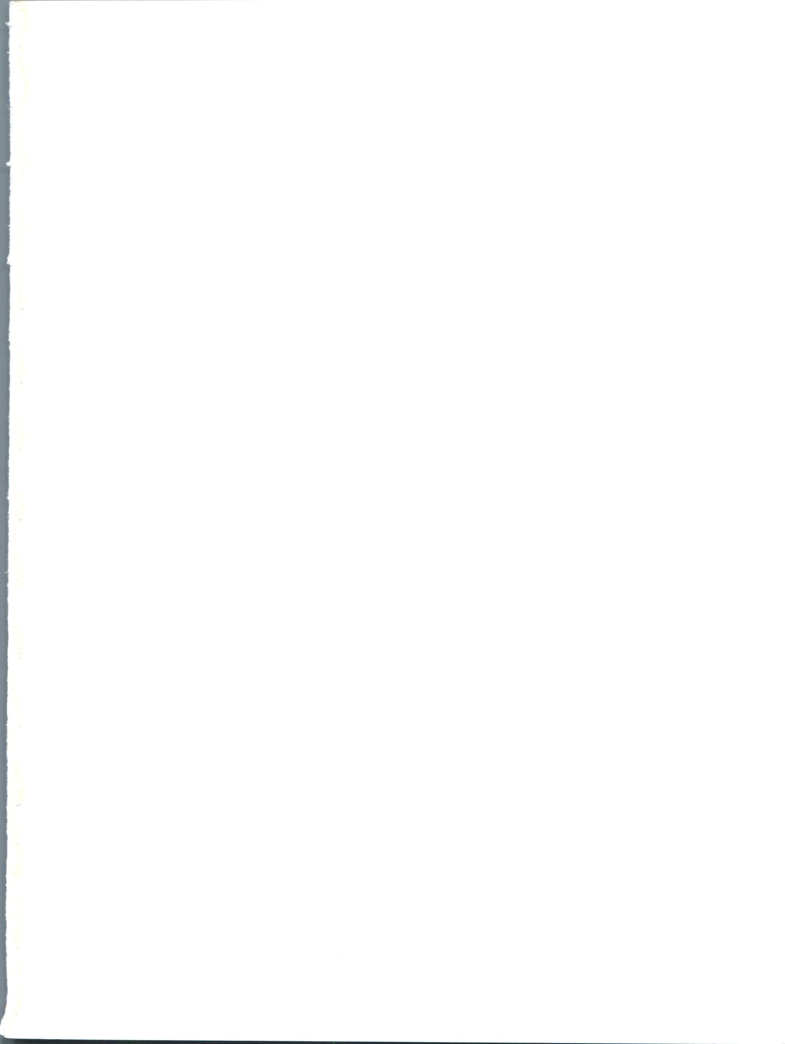 おかちめんたいこなりゆき