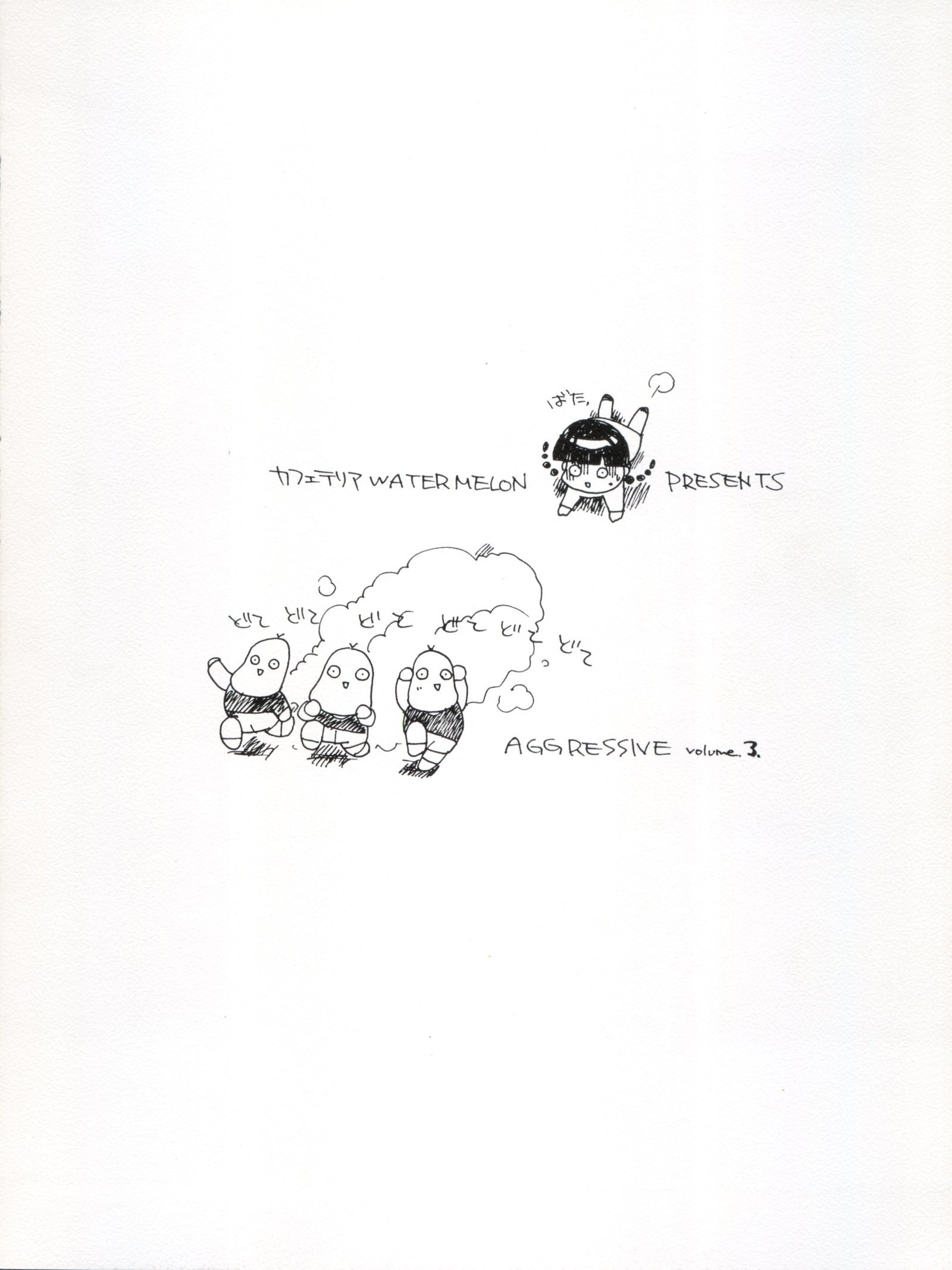 アグレッシブVol。 3