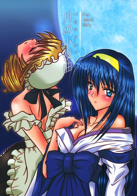 月のセレナーデ